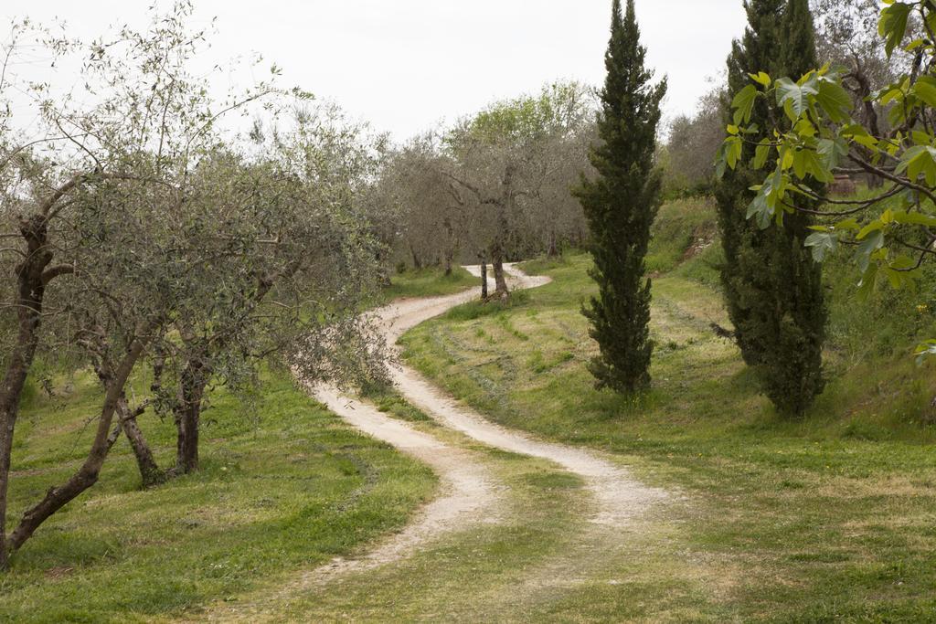 Agriturismo Borgo Personatina Sovicille Eksteriør bilde