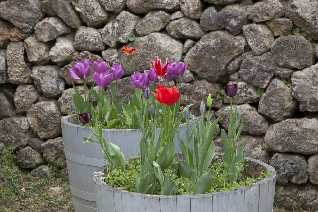 Agriturismo Borgo Personatina Sovicille Eksteriør bilde